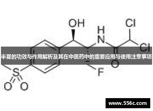 半夏的功效与作用解析及其在中医药中的重要应用与使用注意事项
