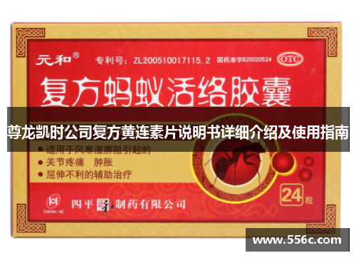 尊龙凯时公司复方黄连素片说明书详细介绍及使用指南